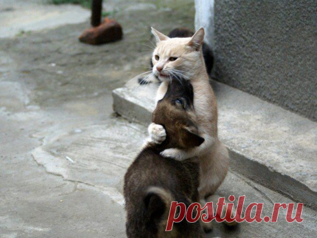 Мой Мир@Mail.Ru