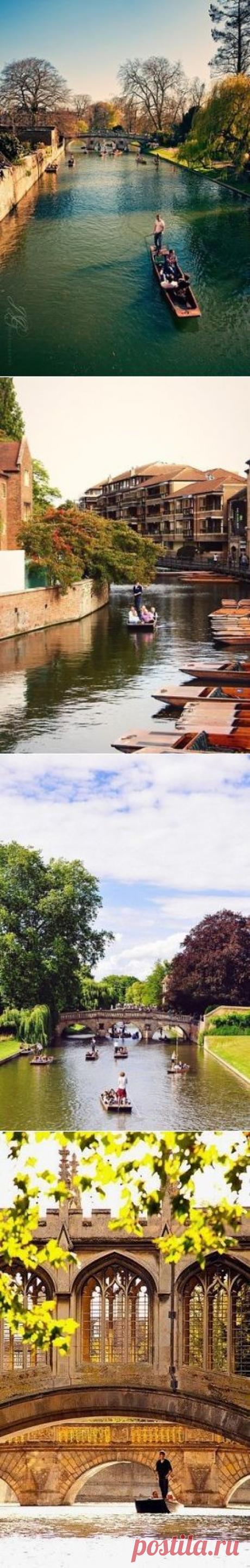 (2) Одноклассники