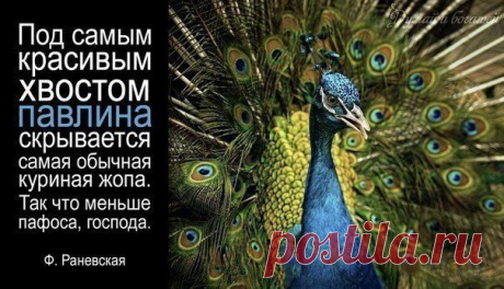 ффф