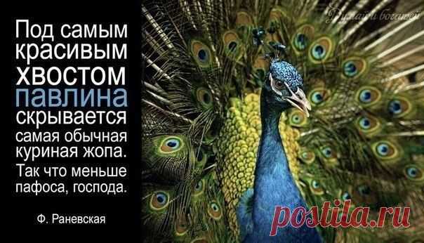 ффф