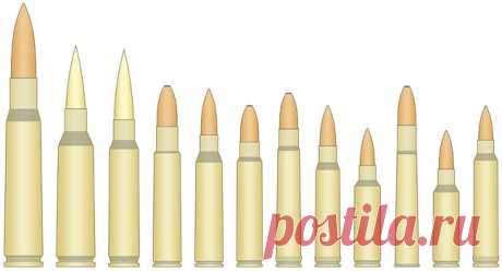 Rifles in the UK: Choosing a rifle calibre