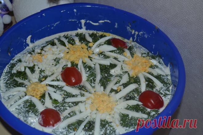 Ромашковое поле