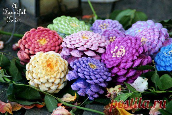 Лесные циннии