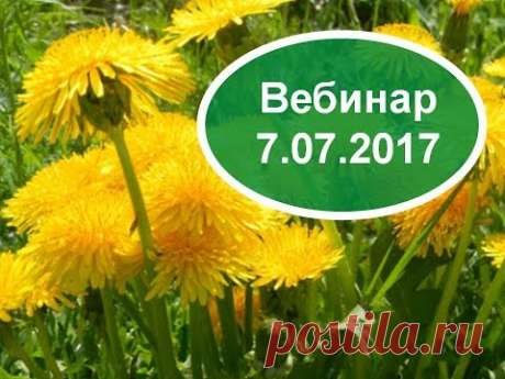 Вебинар 7 07 17 Боль в шее. Болезни почек. #Петля Глиссона#