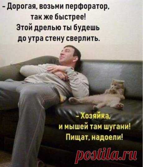 Мы с женой просто символ здравоохранения: рюмка и змея! - РЖАКА - медиаплатформа МирТесен Женщины! Главное - не тащите бабника под венец! Бабник - он общий, как книга в библиотеке. Почитала сама, оставь почитать другим. - Мойша, зачем ты женишься на такой молодой! Ты умрешь, а она останется. - Лучше пусть останется, чем не хватит! Только в американских фильмах 20-летняя блондинка с