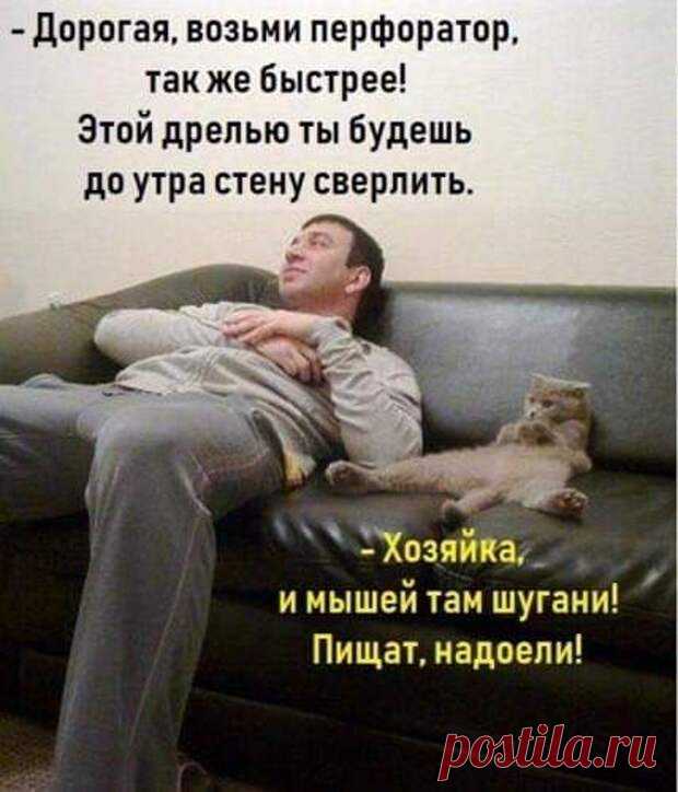 Мы с женой просто символ здравоохранения: рюмка и змея! - РЖАКА - медиаплатформа МирТесен Женщины! Главное - не тащите бабника под венец! Бабник - он общий, как книга в библиотеке. Почитала сама, оставь почитать другим. - Мойша, зачем ты женишься на такой молодой! Ты умрешь, а она останется. - Лучше пусть останется, чем не хватит! Только в американских фильмах 20-летняя блондинка с