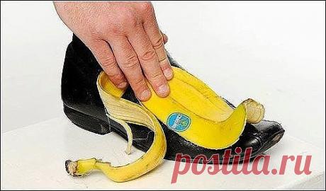 Польза банановой кожуры