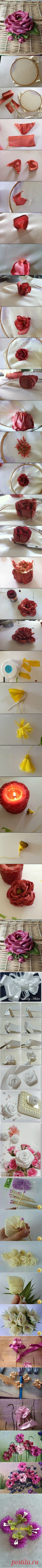 (625) Pinterest