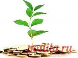 Денежный ритуал Недельный круг