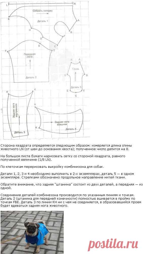 одежда | Записи в рубрике одежда | Дневник Елена_Леденева