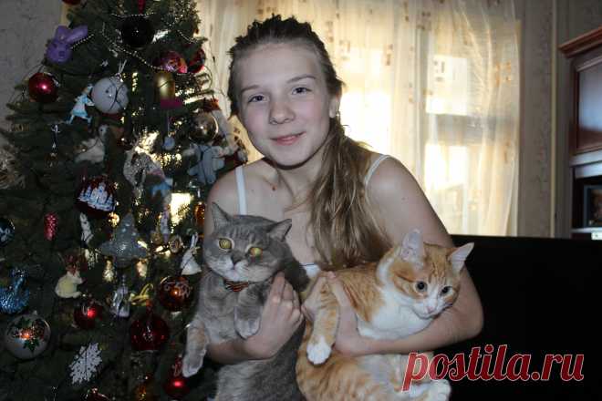 В преддверии зимних праздников