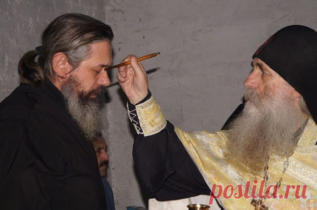 Господь попускает много разочарований, горя и страданий здесь, на земле, чтобы мы махнули рукой на мир, если он так больно ранит нас, и чтобы увидели, что только Бог — Источник утешения, радости и покоя.

Архимандрит Фаддей Витовницкий.