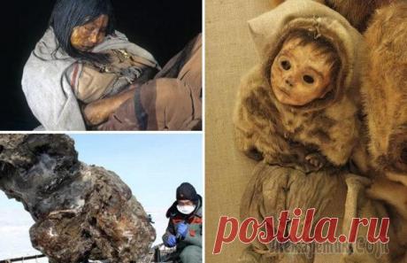 Жуткие вещи, которые были найдены во льдах Льды нашей планеты хранят в себе не мало тайн, которые нам предстоит ещё разгадать. То, что было найдено — поражает фантазию, и только подстёгивает интерес для дальнейших поисков.Гигантский вирусИссле...