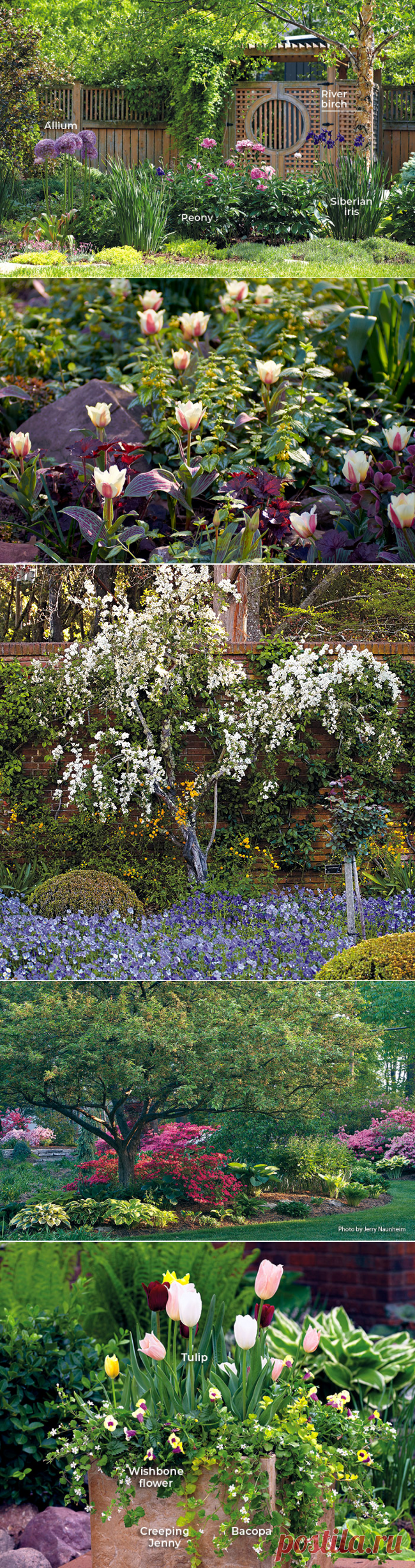 6 ways to create a beautiful spring garden | Garden Gate