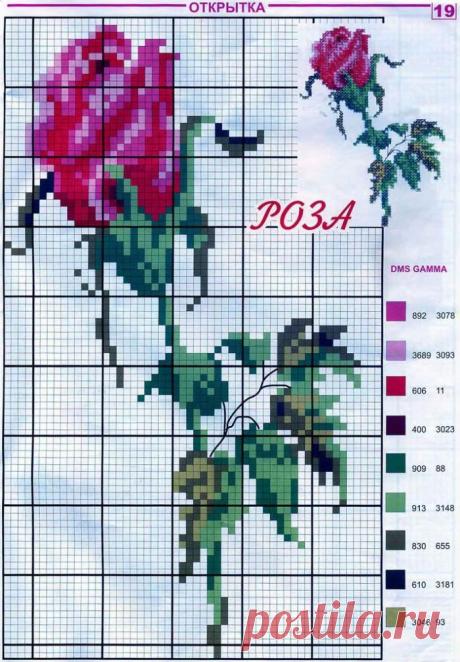 Вышивание крестиком, схемы для новичков: цветы — Сделай сам, идеи для творчества - DIY Ideas