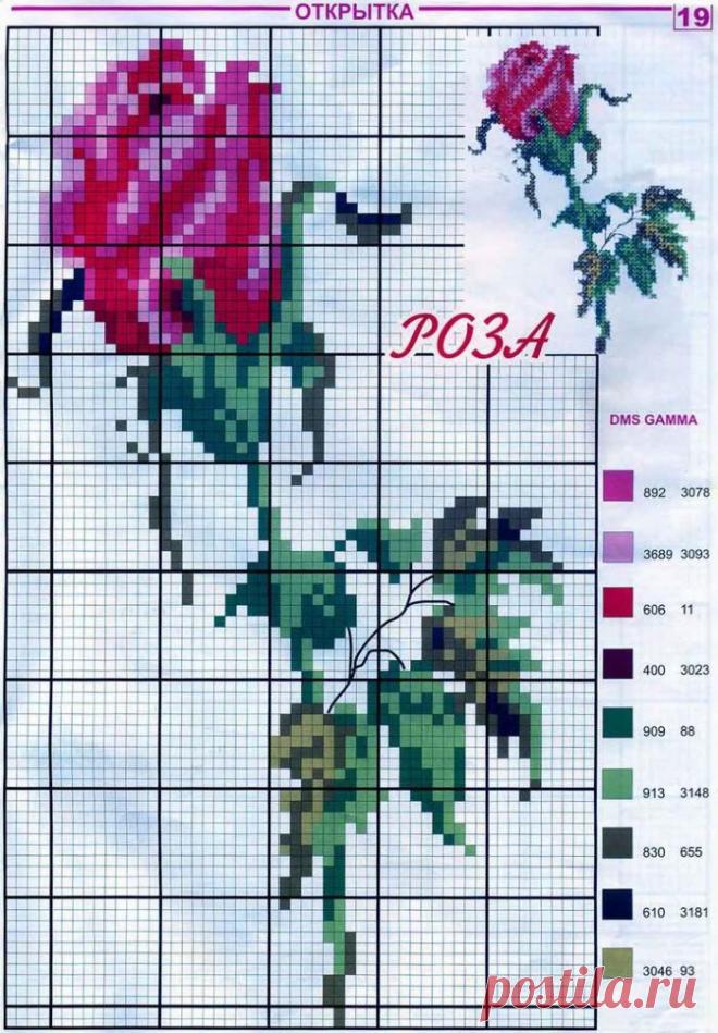 Вышивание крестиком, схемы для новичков: цветы — Сделай сам, идеи для творчества - DIY Ideas