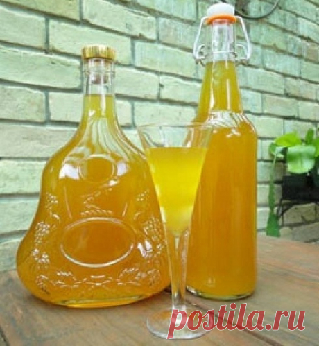 Методы приготовления абрикосовых наливок