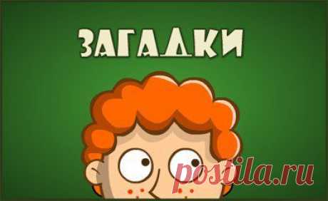 15 веселых загадок с подвохом!.    :)