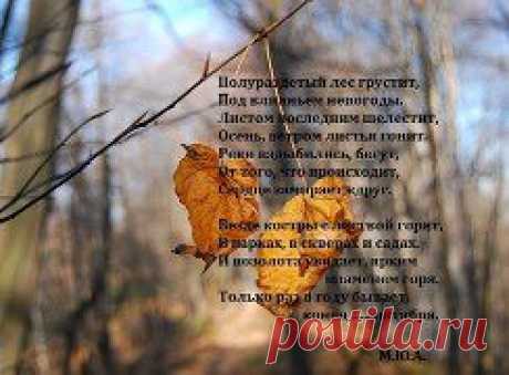 Одноклассники