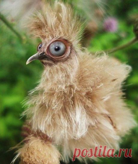 Ой, лаааадно... можно подумать... вы по утрам cимпатишнее...)))