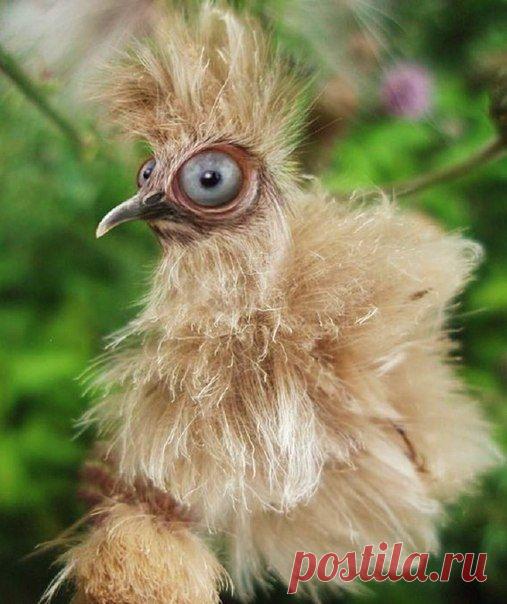 Ой, лаааадно... можно подумать... вы по утрам cимпатишнее...)))