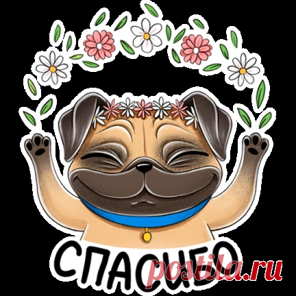 328 СПОСОБОВ НАПОЛНЕНИЯ ЖЕНСКОЙ ЭНЕРГИЕЙ 🙏🏻 | OK.RU
