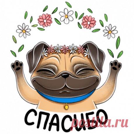 328 СПОСОБОВ НАПОЛНЕНИЯ ЖЕНСКОЙ ЭНЕРГИЕЙ 🙏🏻 | OK.RU