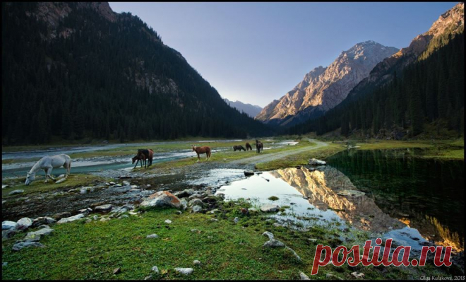 Ущелье Каракол, Киргизия. Автор фото — Ольга Кулакова: nat-geo.ru/photo/user/292190/  |  National Geographic Россия