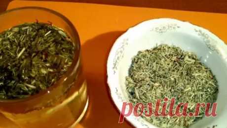 Чистотел лечит практически все - Рецепты народной медицины - Яндекс.Видео