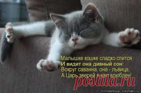 Очаровательное создание.