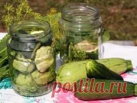 Лучшие рецепты соленых и маринованных патиссонов на зиму