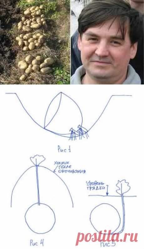Эффект окучивания без окучивания