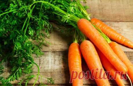Вкусные рецепты
