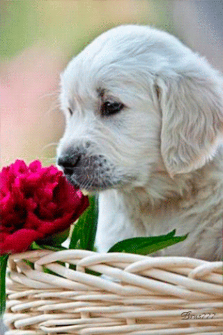 Мой Мир@Mail.Ru