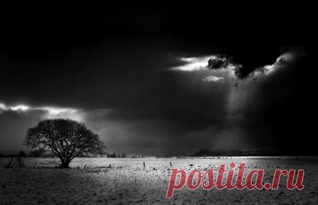 СЛОЖНО ПРОСТИТЬ? КАК ВЫТАЩИТЬ ЧЕЛОВЕКА ИЗ ЯМЫ: psiholog_vektor