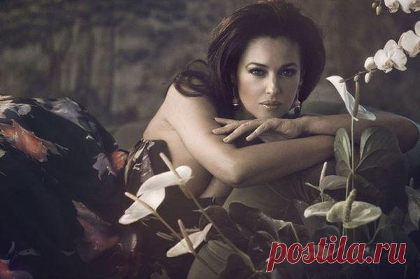 Моника Белуччи пример идеальной женской красоты