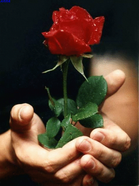 0_5bc4e_ab097f11_orig.jpg (480×640)