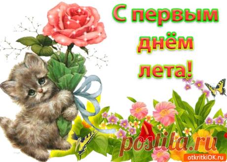 Картинки с Началом Лета | ТОП Картинки