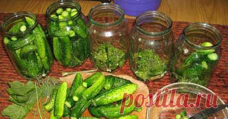 Огурцы, которые не взрываются! — Готовим вкусно!