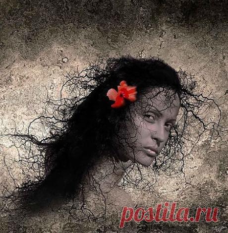 (2) Одноклассники