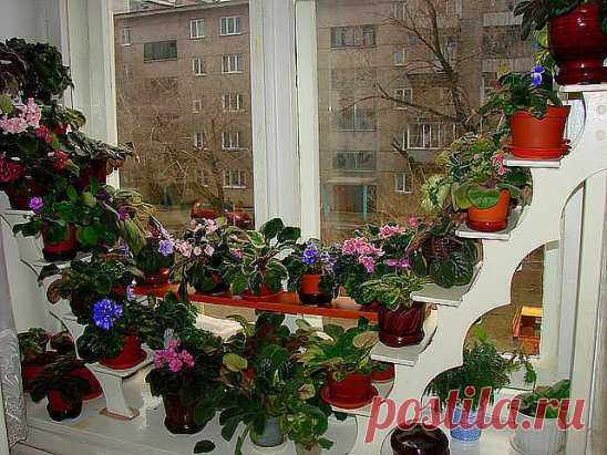 (49) Одноклассники