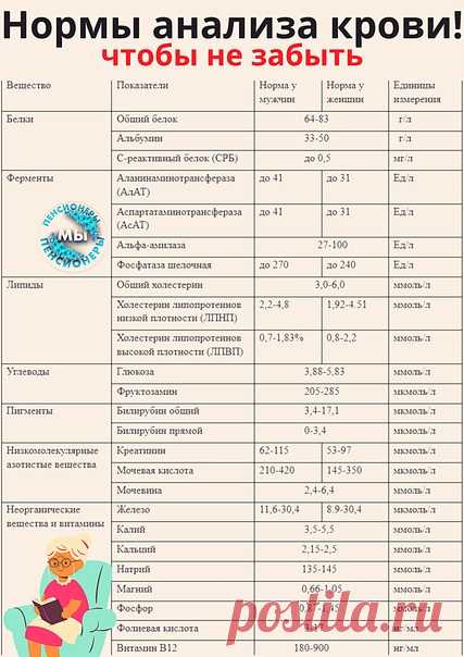 mT2Yo70Ei95X2DktzBlLide3kBF8lKhEL13sRcwynsgeSaNZOkxWugq00LgLlquxw_dfbznTcESf0INBKY5_47ec.jpg (427×604)