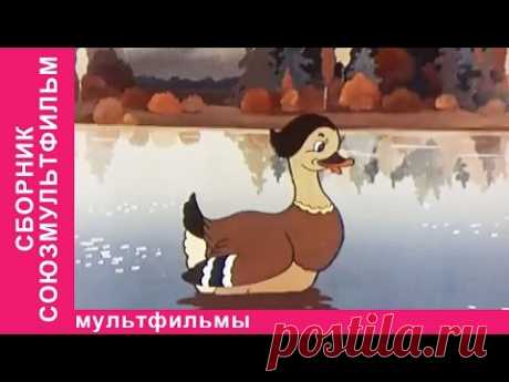 Советские мультфильмы. Мультфильмы про дружбу. StarMediaKids