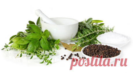 Полезные для мозга антиоксидантные травы и приправы | Все об Осознанной Красоте