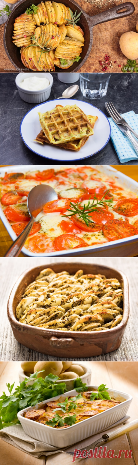 6 эффектных блюд из картофеля
