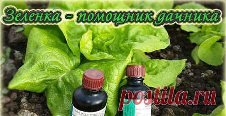 (3) Одноклассники