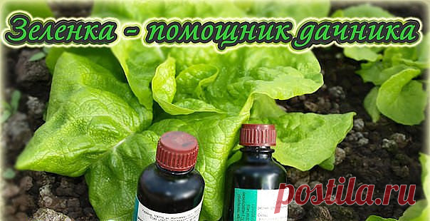 (3) Одноклассники