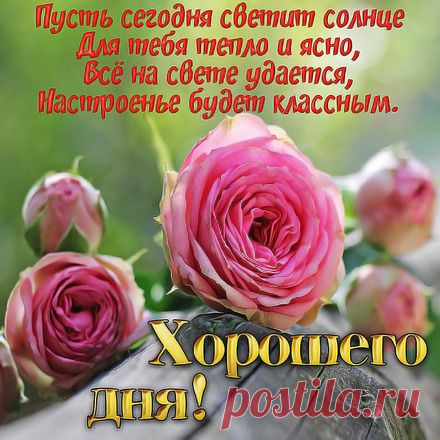 Где скачать бесплатные открытки «Добрый день»
Популярные ресурсы для скачивания

Надежные сайты для загрузки открыток: