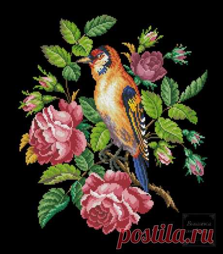 (6) Gallery.ru / Щегол в розаз - Щегол в розах - larisa-bnw