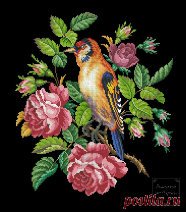 (6) Gallery.ru / Щегол в розаз - Щегол в розах - larisa-bnw